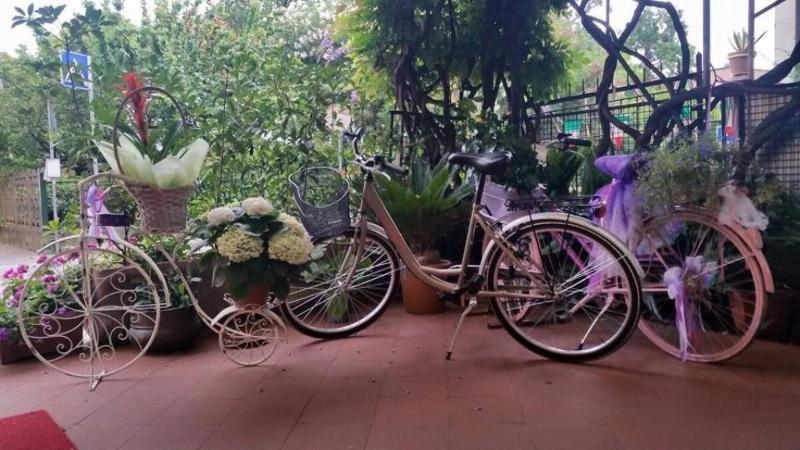 Hotel Stipino ルッカ エクステリア 写真