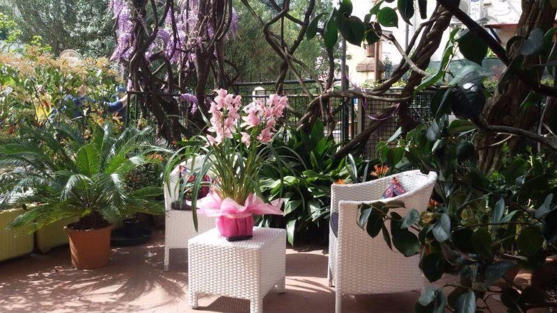 Hotel Stipino ルッカ エクステリア 写真