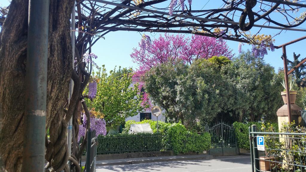 Hotel Stipino ルッカ エクステリア 写真
