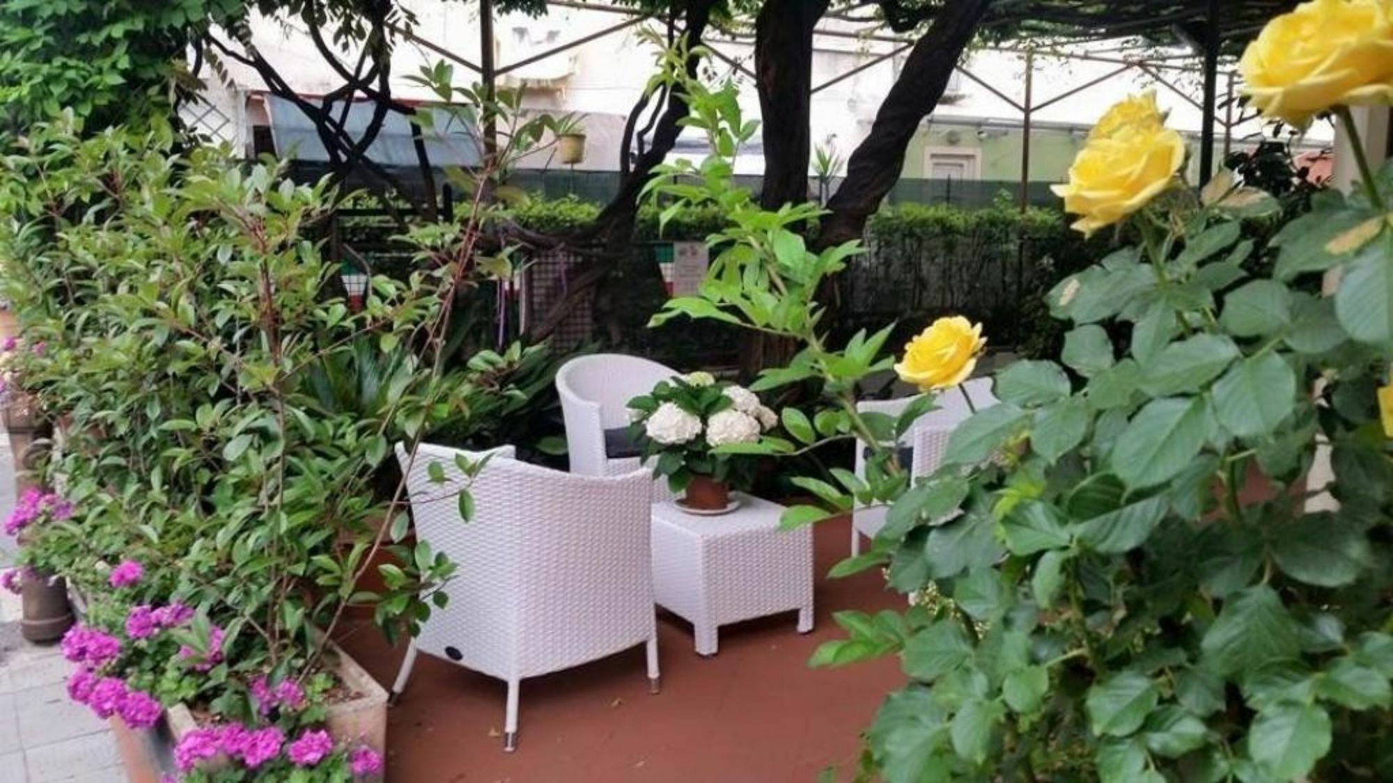 Hotel Stipino ルッカ エクステリア 写真