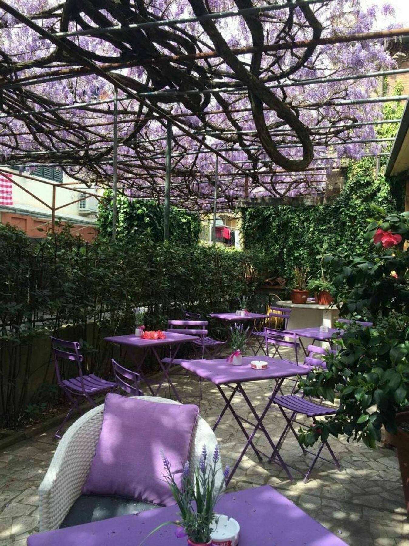 Hotel Stipino ルッカ エクステリア 写真